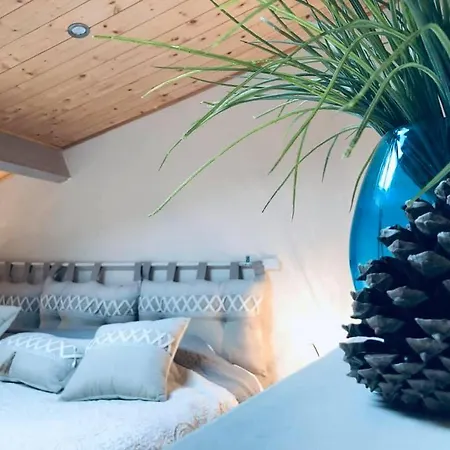 Le Chai De L'ocean -maison A 300m - Jardin Terrasse Prázdninový dům