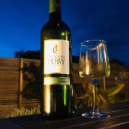 Le Chai De L'ocean -maison A 300m - Jardin Terrasse Prázdninový dům *