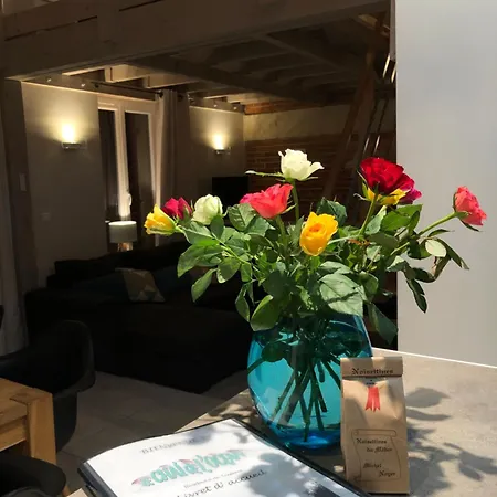 Le Chai De L'ocean -maison A 300m - Jardin Terrasse *